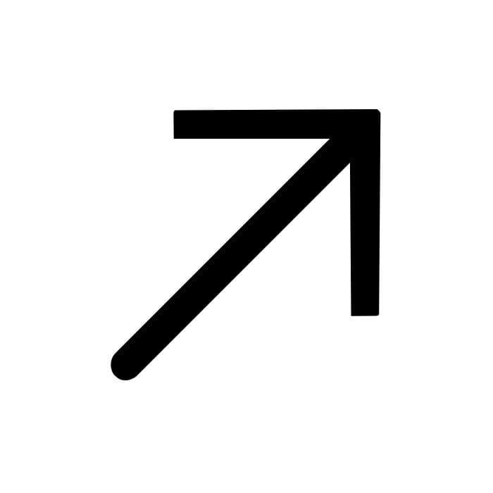 Home 8 fleche vers le haut droit 1